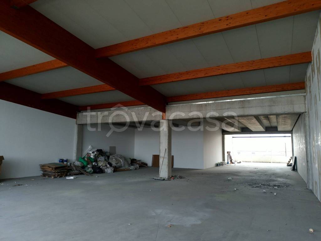 immagine annuncio 7 di 13