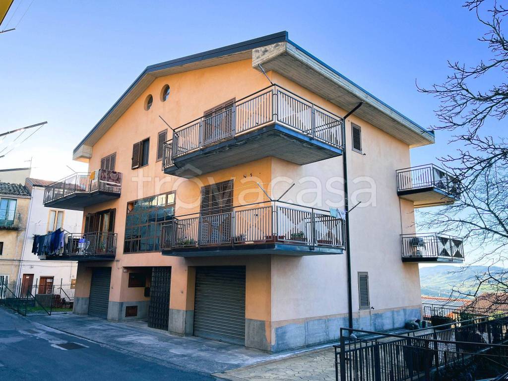 Villa Bifamiliare in in vendita da privato a Troina via San Domenico, 70B