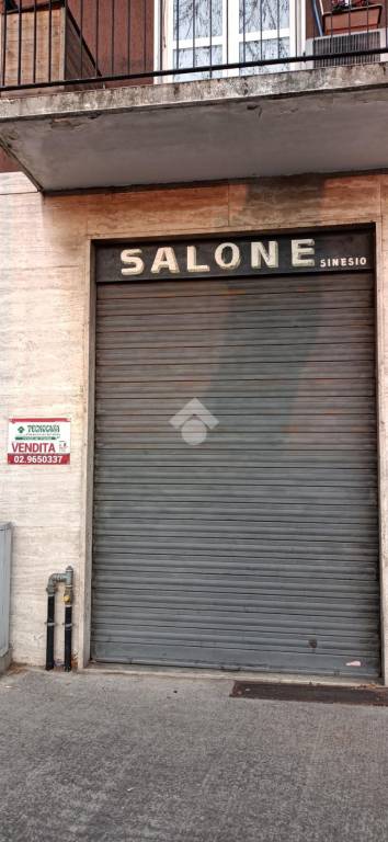 immagine annuncio 6 di 12