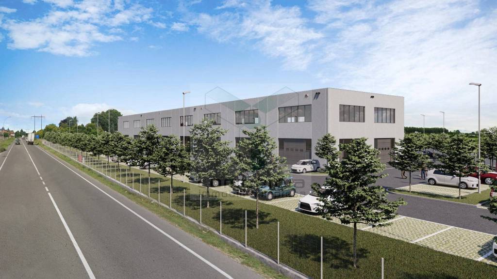 immagine annuncio 2 di 15