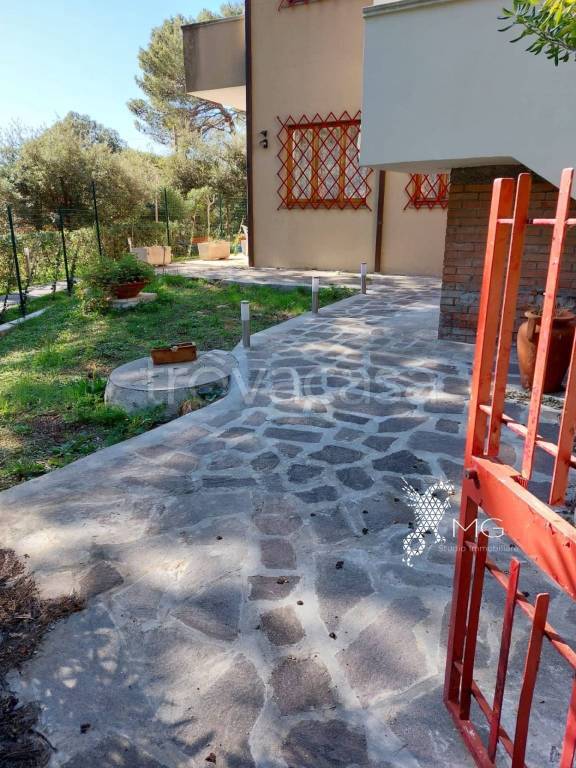 immagine annuncio 2 di 14