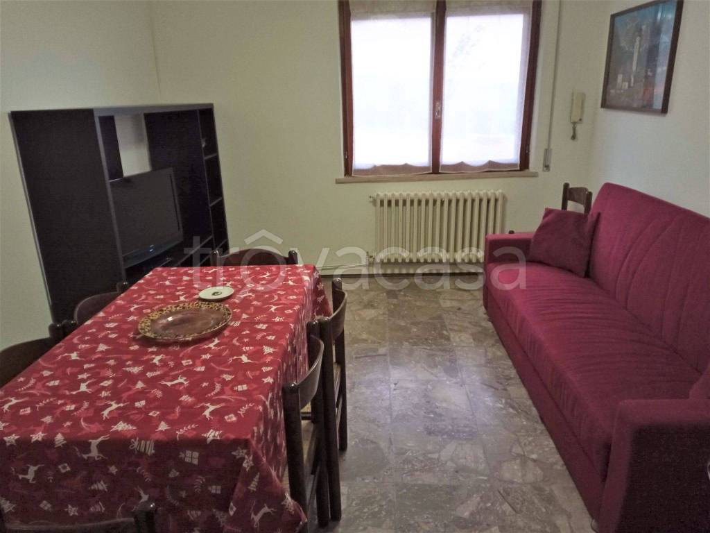 Appartamento in in affitto da privato a Mosciano Sant'Angelo via Bologna, 7