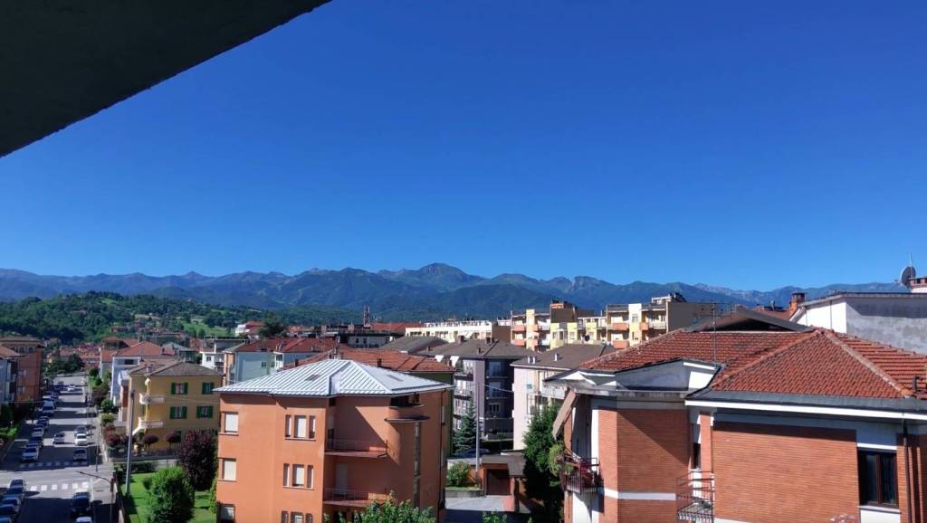immagine annuncio 1 di 14