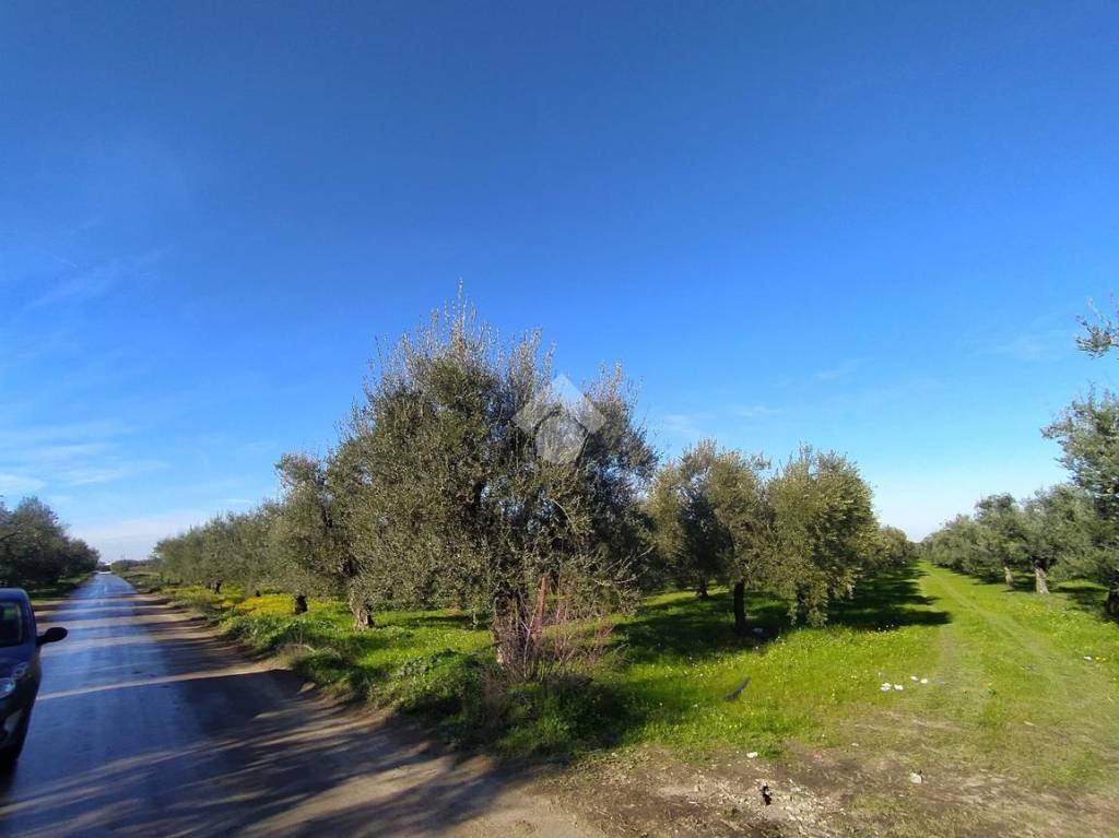immagine annuncio 4 di 13