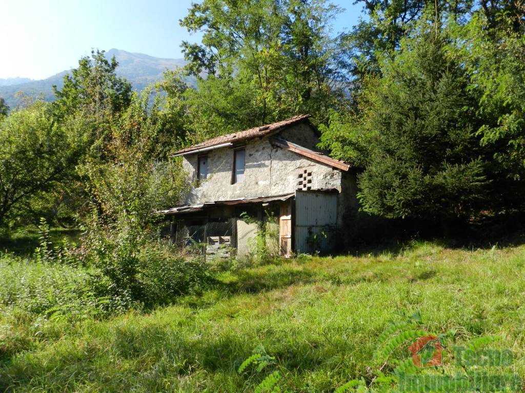 immagine annuncio 9 di 12