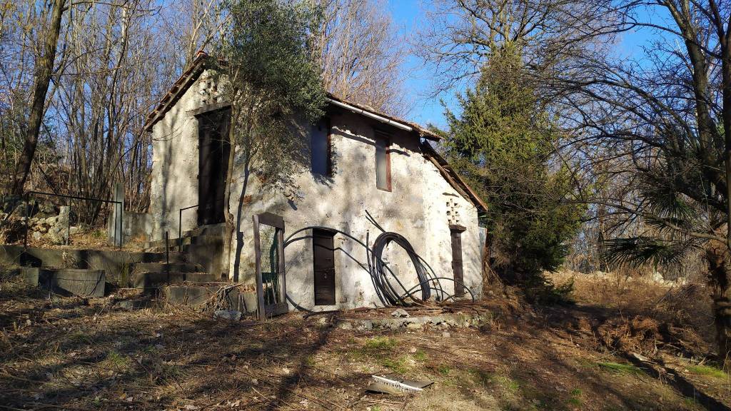 immagine annuncio 4 di 12