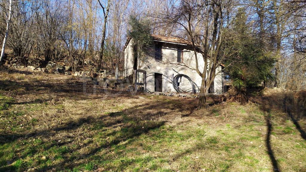 immagine annuncio 5 di 12