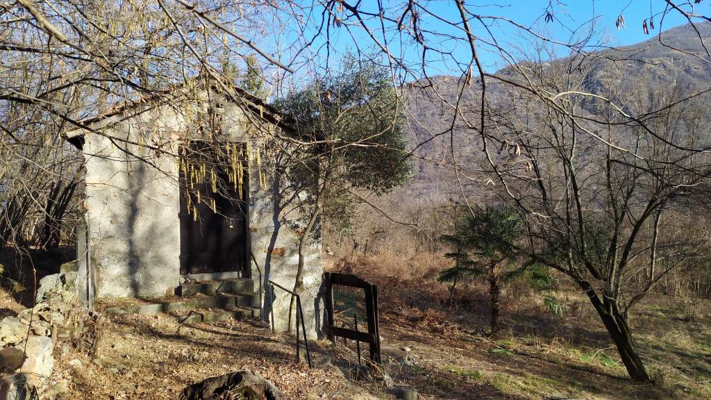 immagine annuncio 7 di 12