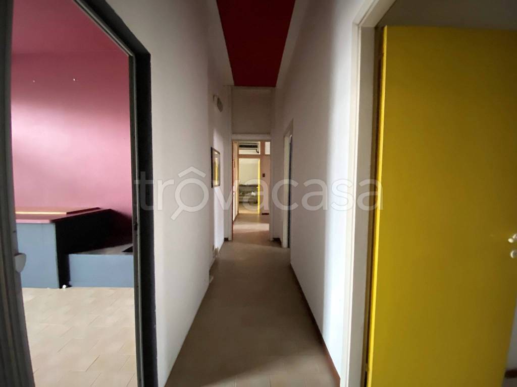 immagine annuncio 7 di 14