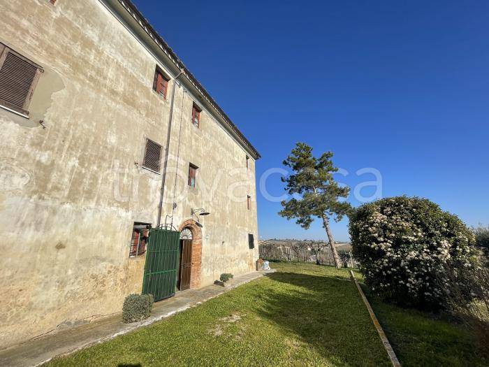 immagine annuncio 4 di 9