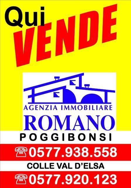 Terreno Residenziale in vendita a Monteriggioni