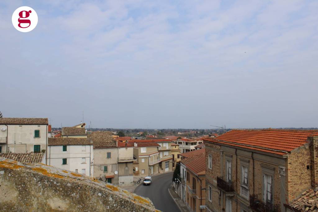 immagine annuncio 12 di 13