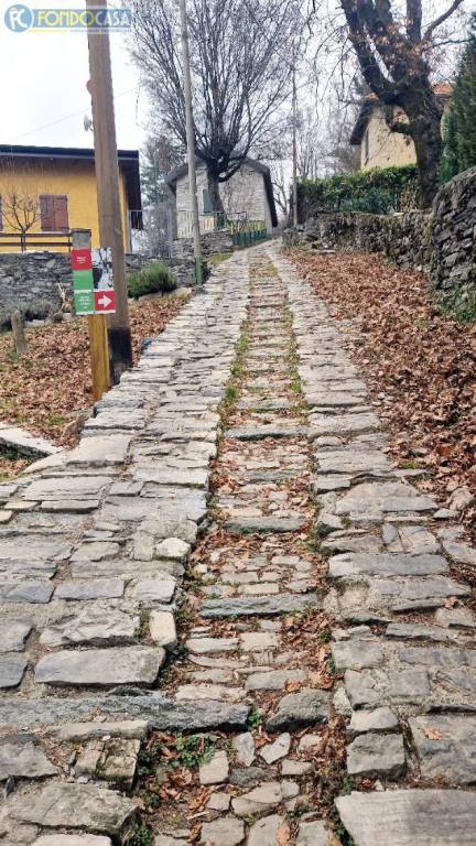 immagine annuncio 13 di 14