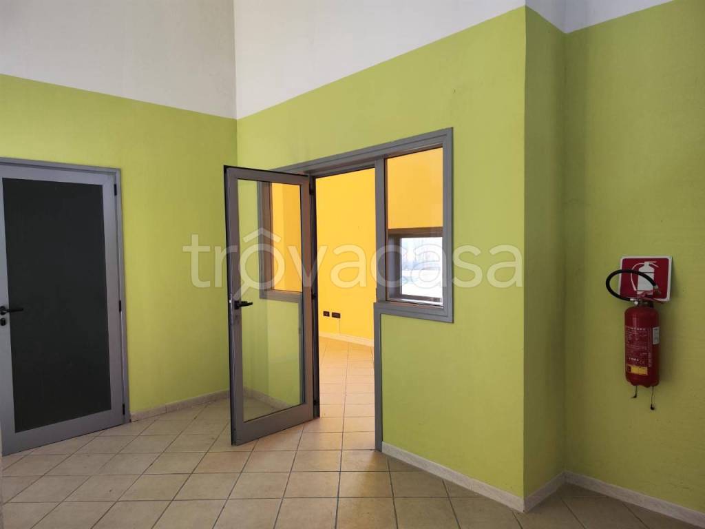 immagine annuncio 5 di 8