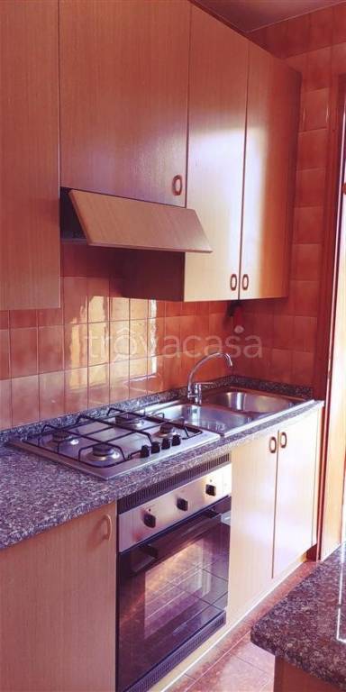 immagine annuncio 5 di 14