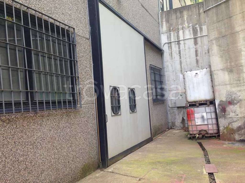 immagine annuncio 1 di 4