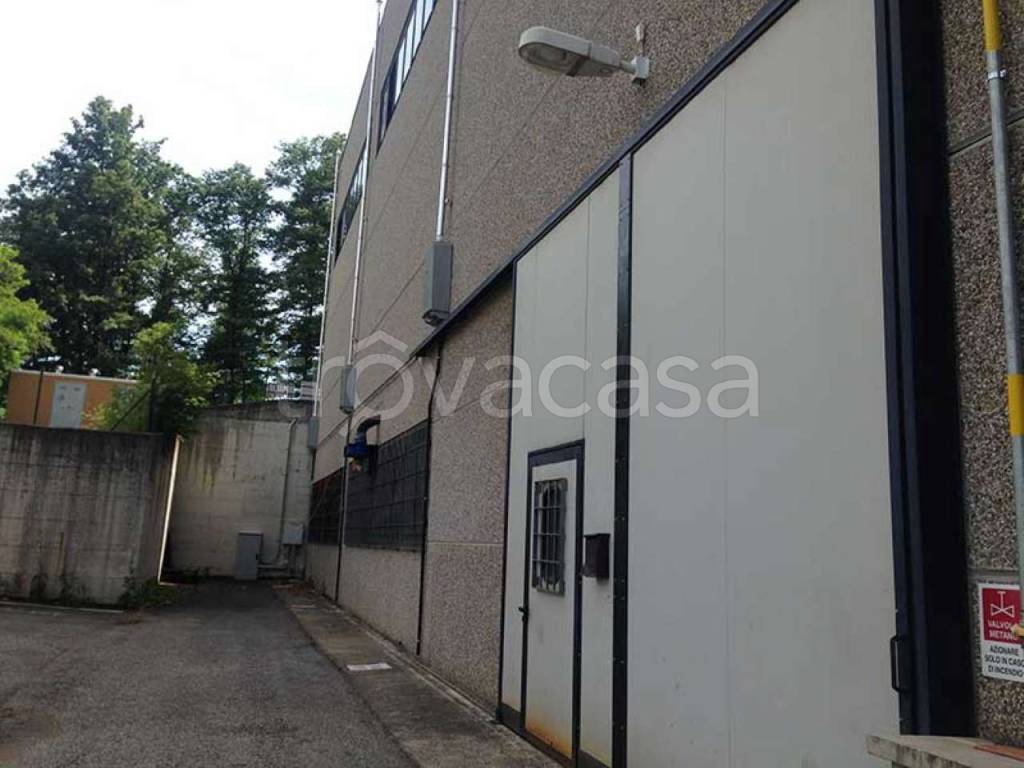 immagine annuncio 2 di 4