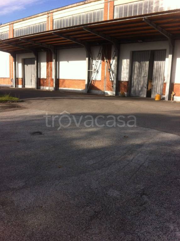 immagine annuncio 5 di 14