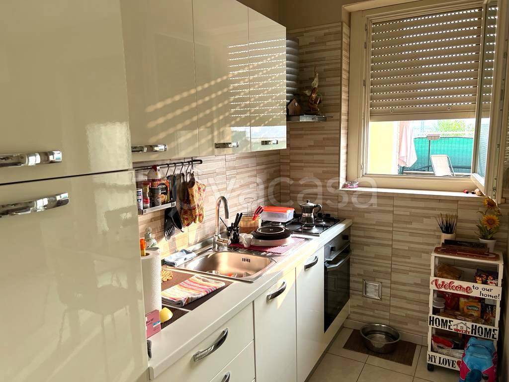 immagine annuncio 8 di 15