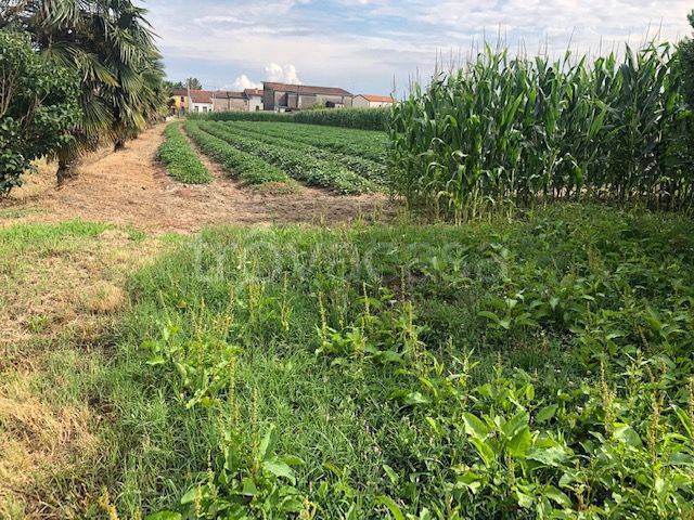 Terreno Agricolo in vendita ad Adria valliera - Cavedon, 0