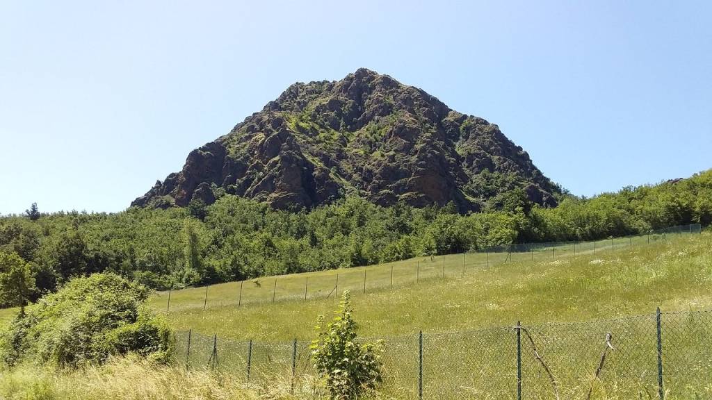 immagine annuncio 9 di 12