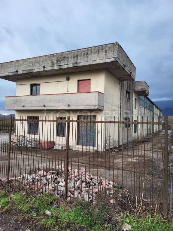 Capannone Industriale in in affitto da privato a Rotondi via Limata Passaluro, 24