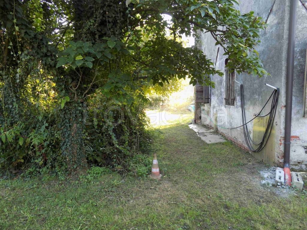 immagine annuncio 11 di 14