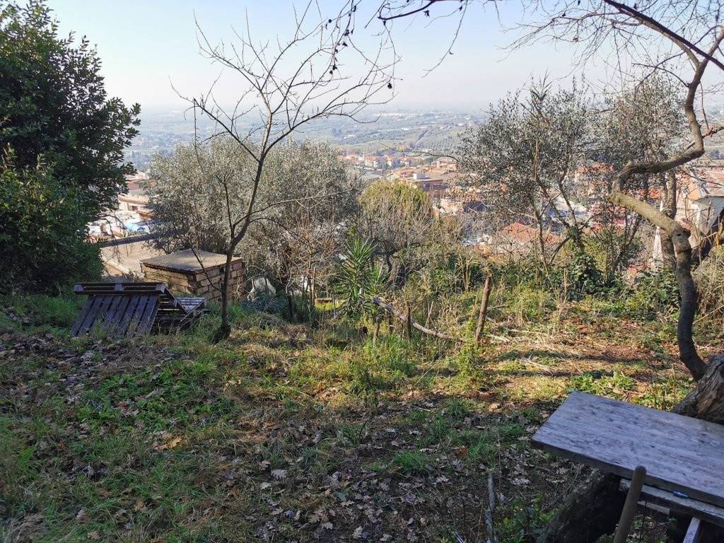 immagine annuncio 4 di 11