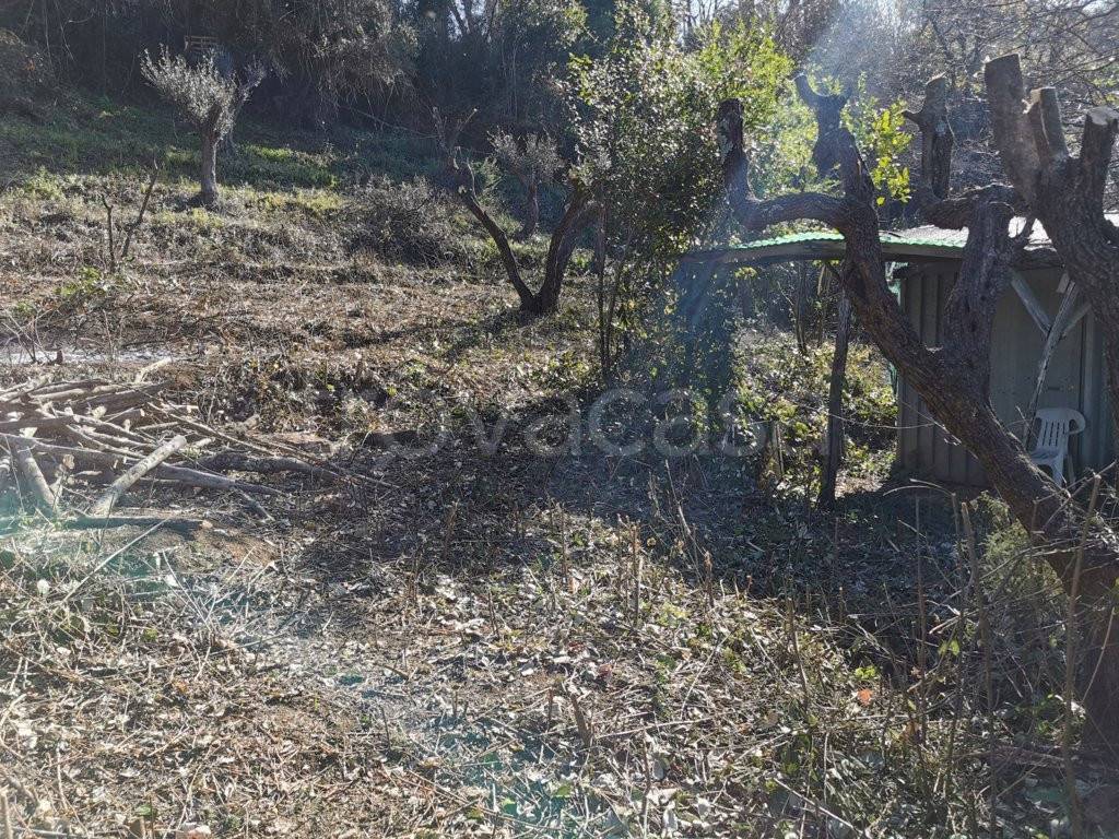 immagine annuncio 5 di 11