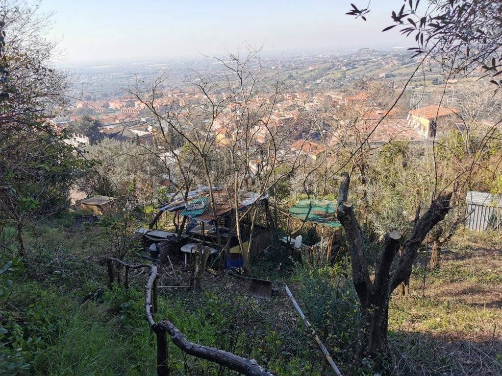 immagine annuncio 8 di 11