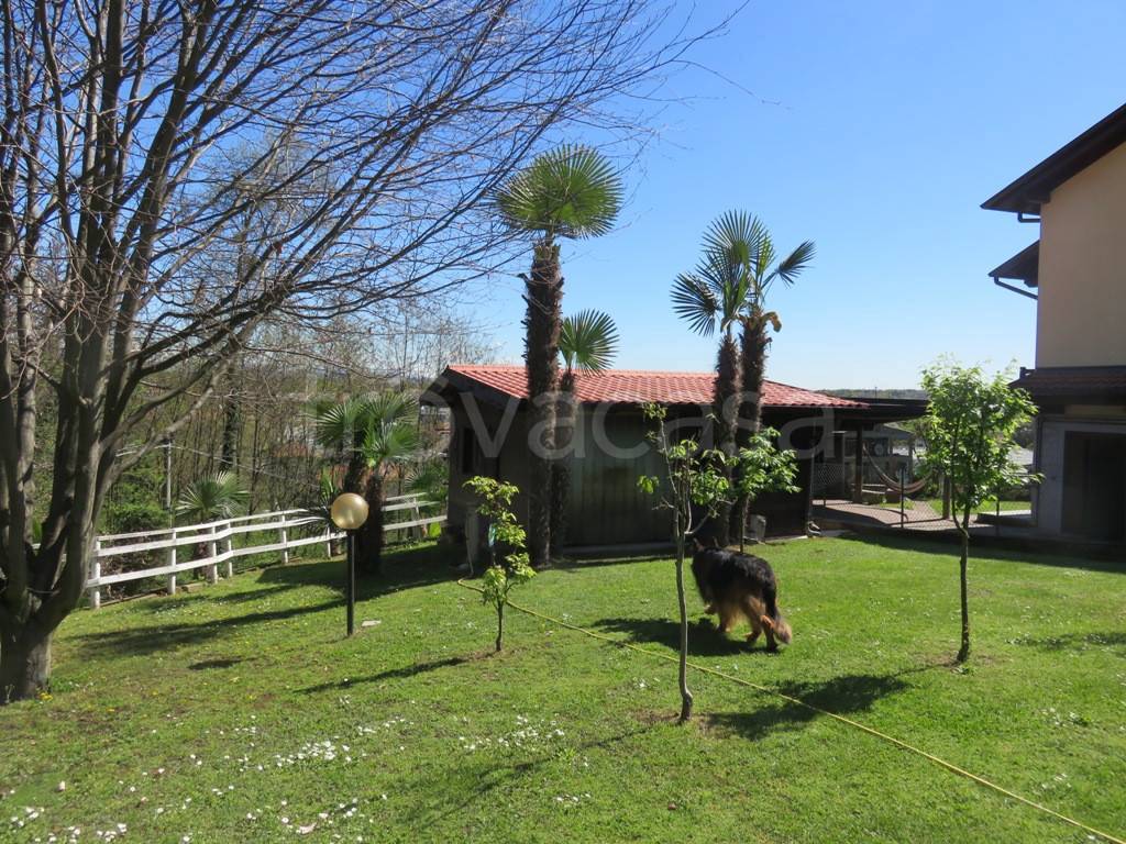 immagine annuncio 2 di 15