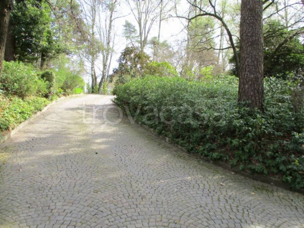 immagine annuncio 7 di 12