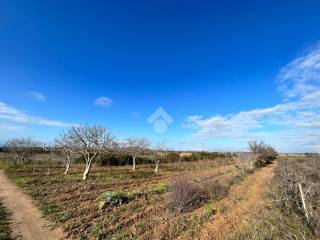 Terreno agricolo in vendita a selargius loc staineddu