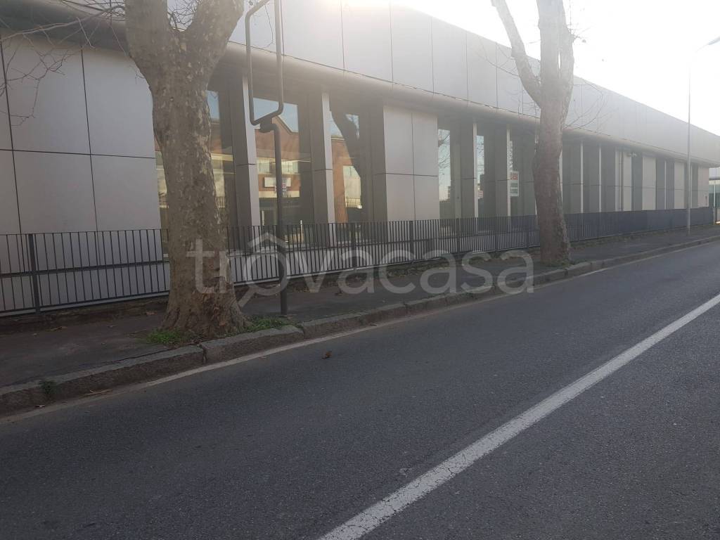 immagine annuncio 3 di 13