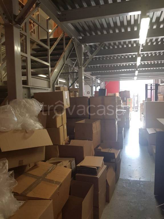 immagine annuncio 4 di 8