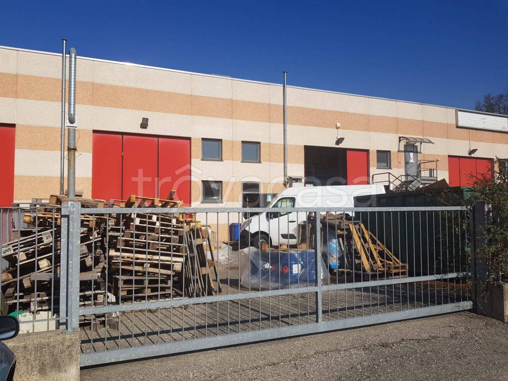 immagine annuncio 7 di 8