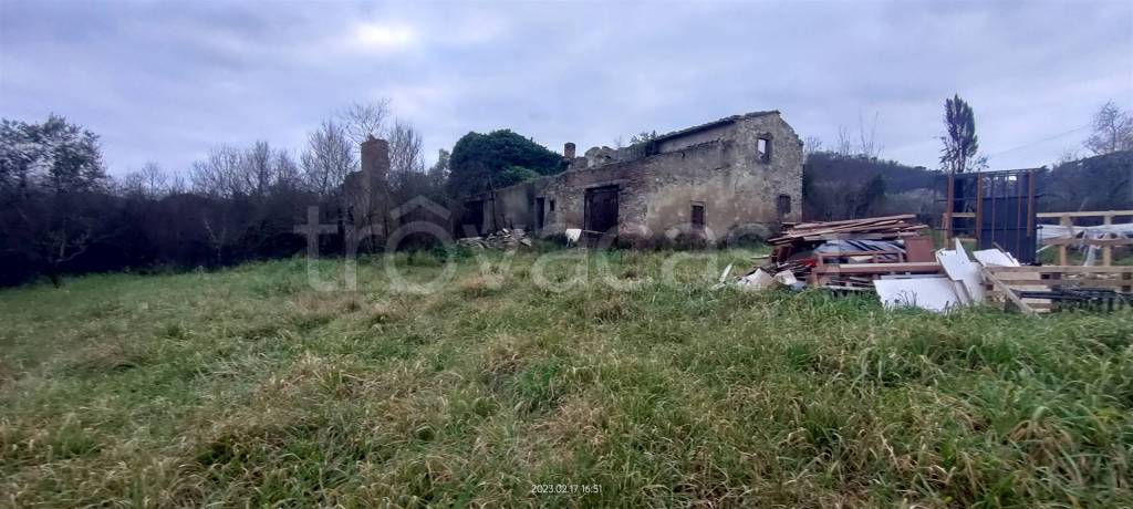 immagine annuncio 7 di 9