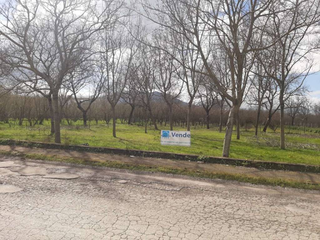 immagine annuncio 11 di 14