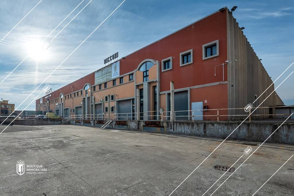 immagine annuncio 7 di 11