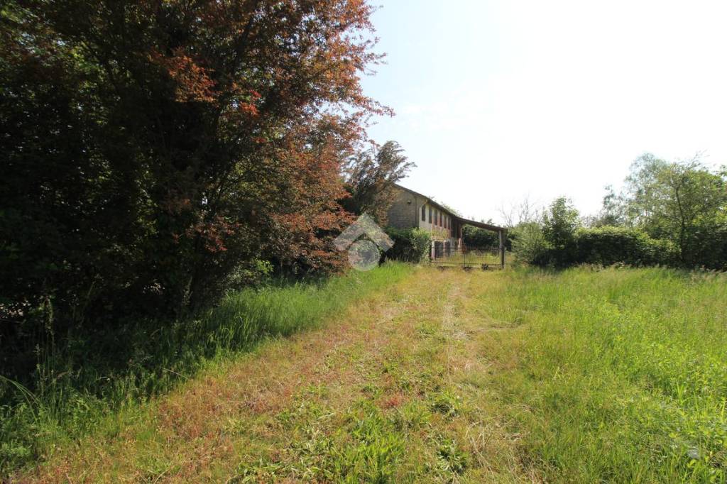 immagine annuncio 3 di 7