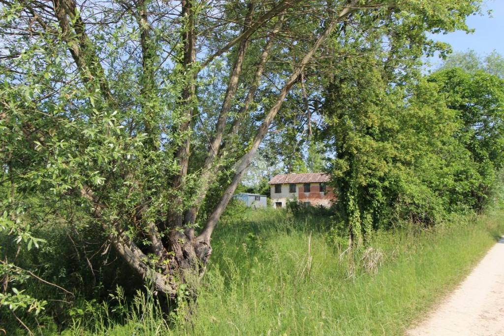 immagine annuncio 6 di 7