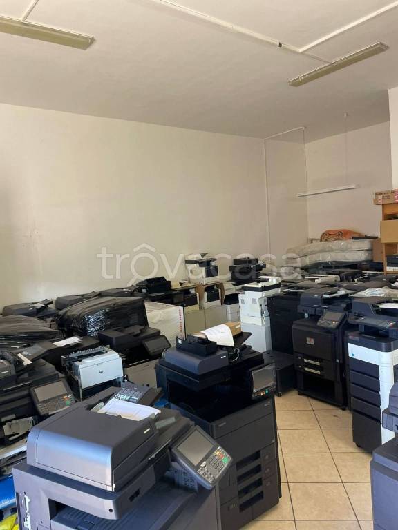 immagine annuncio 4 di 11