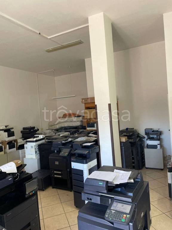 immagine annuncio 5 di 11