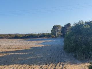 Terreno agricolo in vendita a calasetta via cala lunga