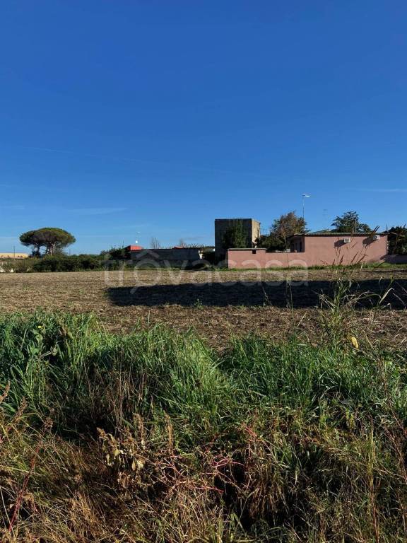 Terreno Agricolo in affitto a Giugliano in Campania via Grotta dell'Olmo
