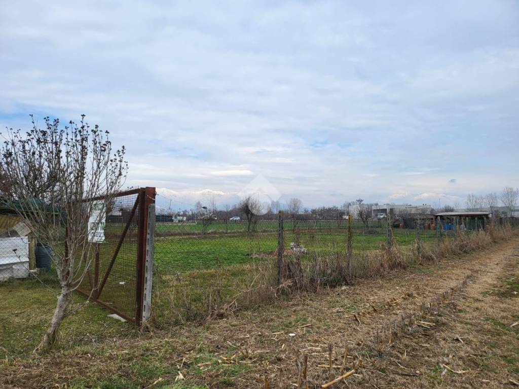 immagine annuncio 2 di 13