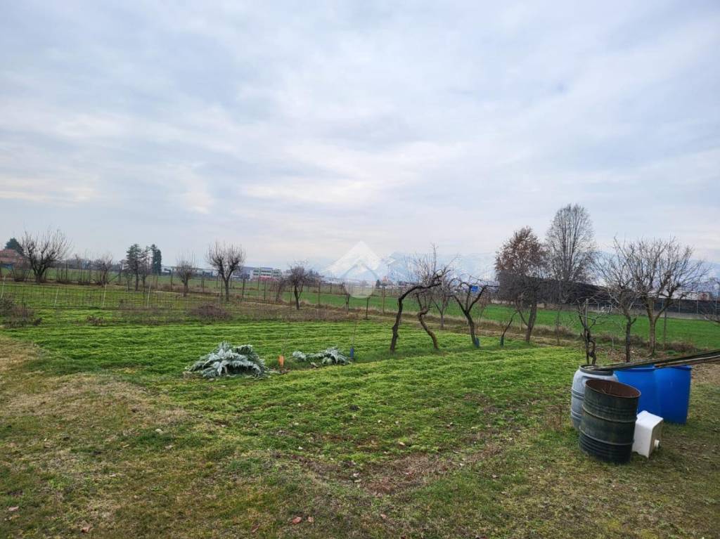 immagine annuncio 3 di 13