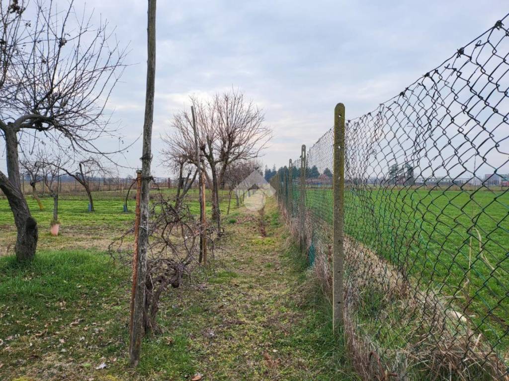immagine annuncio 8 di 13