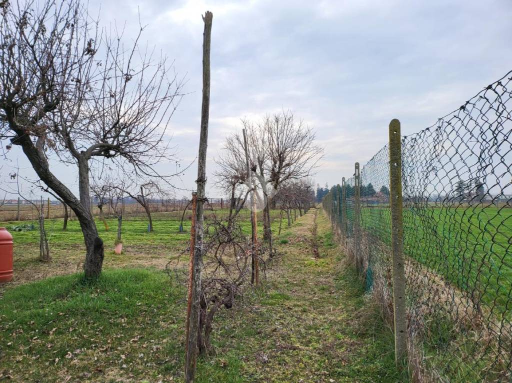 immagine annuncio 11 di 13