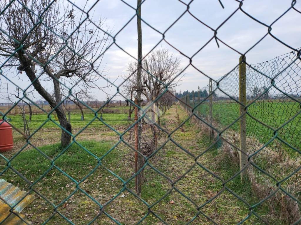 immagine annuncio 10 di 13